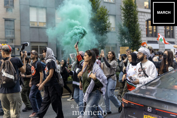 Flood NYC for Palestine