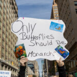 A protester holds a white, butterfly-shaped sign reading “Only Butterflies Should Be Monarchs,” decorated with pictures of monarch butterflies, at the No Kings March in New York City.