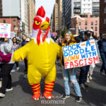 A person in a full yellow chicken costume stands beside a protester holding a colorful sign that says “COCK-A-DOODLE DOWN WITH FASCISM” during the No Kings March in New York City.