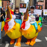 Two protesters in inflatable chicken costumes hold parody review signs criticizing the Trump administration during the No Kings March in New York City.