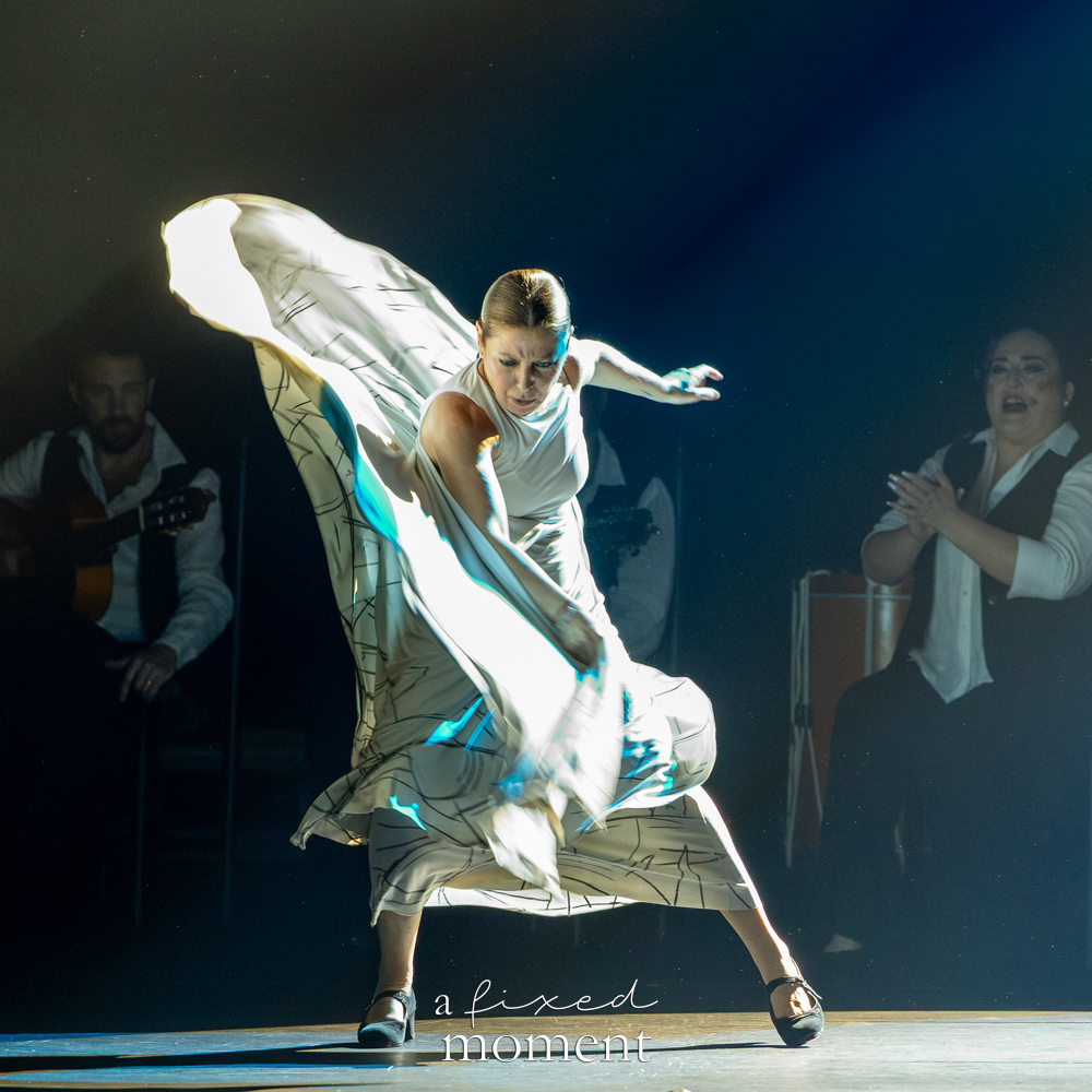 Flamenco dancer dress sweep stage spotlight