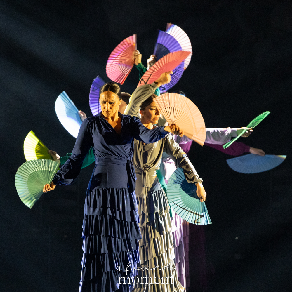 Flamenco dancers fan motion choreography