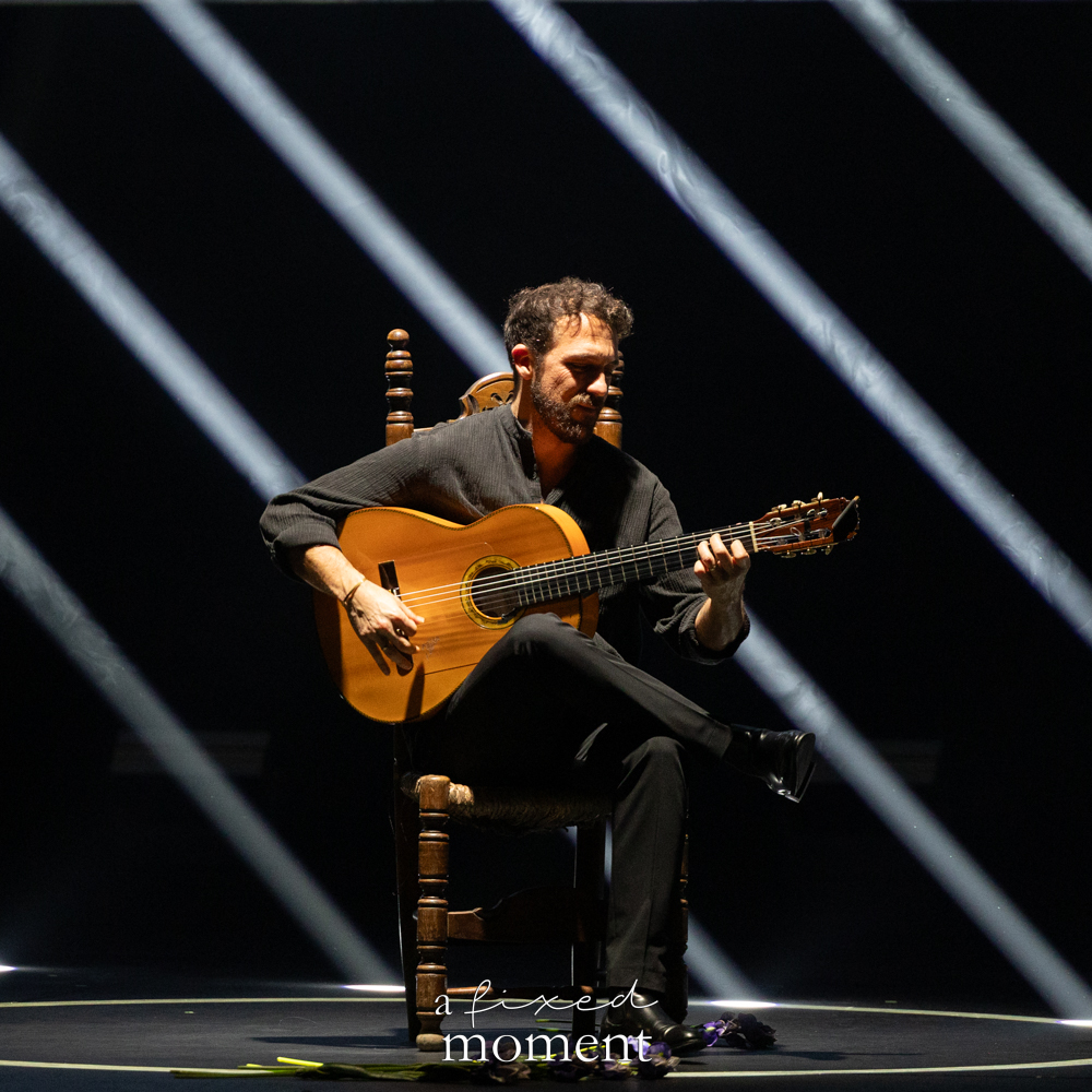 Flamenco guitarist close performance