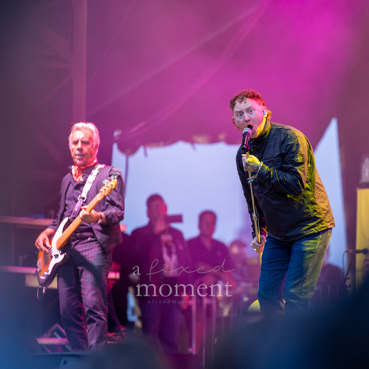 Sex Pistols vocalist and bassist perform together at Riot Fest