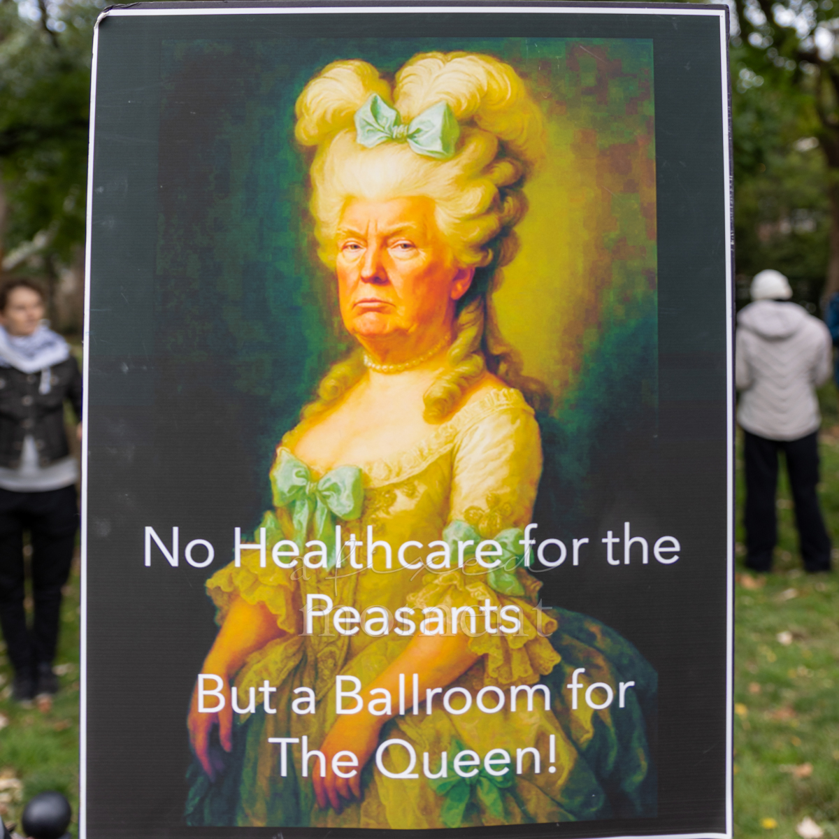 A protest sign contrasts healthcare concerns with a ballroom.